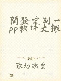 开发定制一个app软件大概多少钱