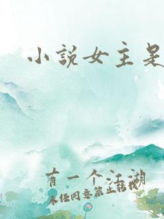 小说女主是律师