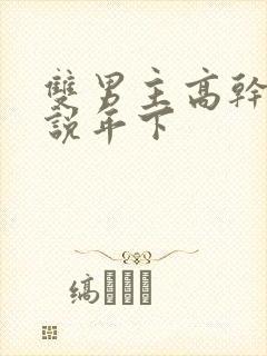 双男主高干文小说年下