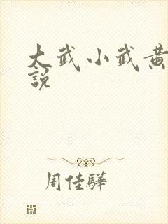 大武小武黄蓉小说
