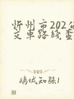 忻州市202公交车路线查询