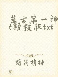 万古第一神txt精校版txt