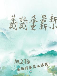 叶北辰最新章节刚刚更新小说全文阅读
