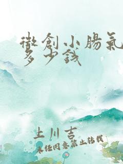 微创小肠气手术多少钱 微创小肠气手术多少钱