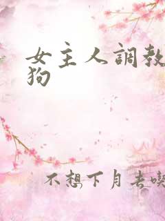 女主人调教小母狗 女主人调教小母狗