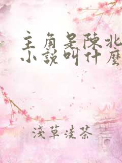 主角是陈北玄的小说叫什么