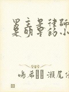 男主是律师女主是明星的小说