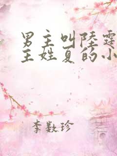 男主叫陆霆琛女主姓夏的小说 男主叫陆霆琛女主姓夏的小说