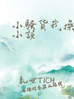 小骚货我操死你小说