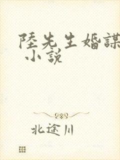 陆先生婚谋已久 小说