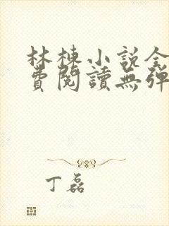 林栋小说全文免费阅读无弹窗