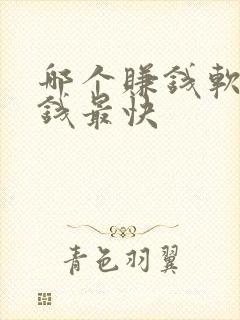 哪个赚钱软件赚钱最快