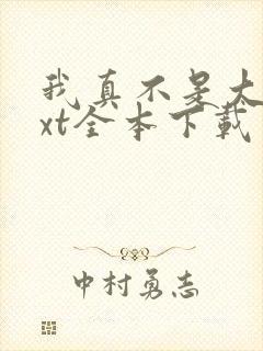 我真不是大佬txt全本下载 我真不是大佬txt全本下载