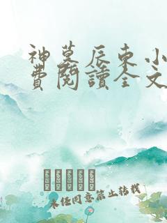 神墓辰东小说免费阅读全文