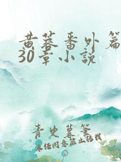 黄蓉番外篇1一30章小说