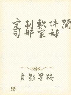 定制软件开发公司哪家好