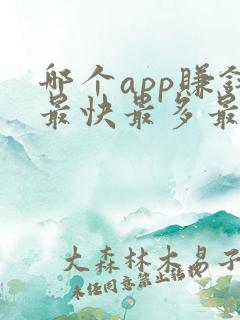 哪个app赚钱最快最多最好