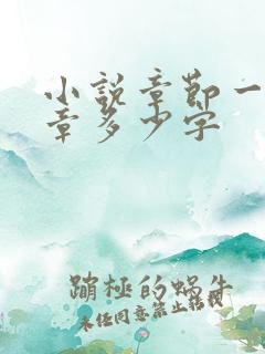小说章节一般一章多少字