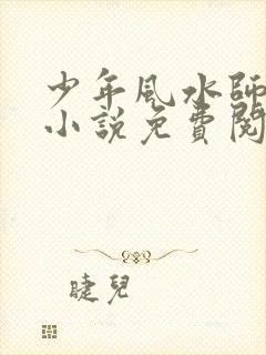 少年风水师吴峥小说免费阅读