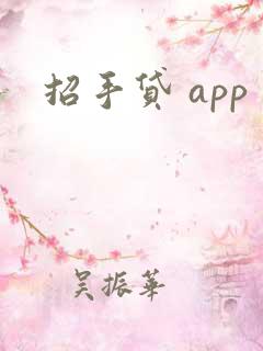 招手贷 app