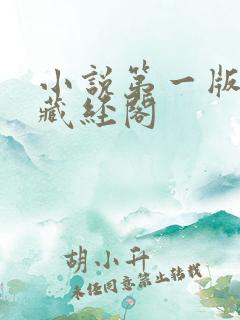 小说第一版主网藏经阁 小说第一版主网藏经阁
