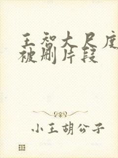 王智大尺度床戏被删片段