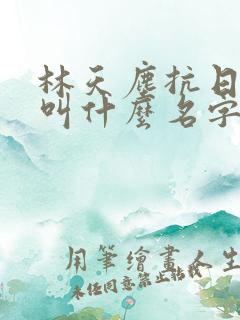 林天尘抗日小说叫什么名字
