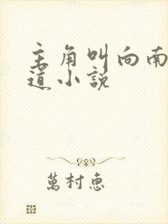 主角叫向南的黑道小说 主角叫向南的黑道小说