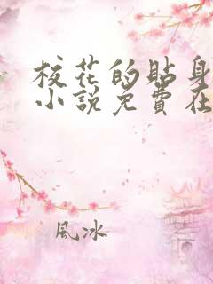 校花的贴身高手小说免费在线听书