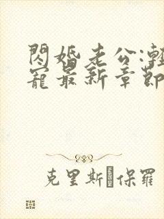 闪婚老公:轻点宠最新章节目录