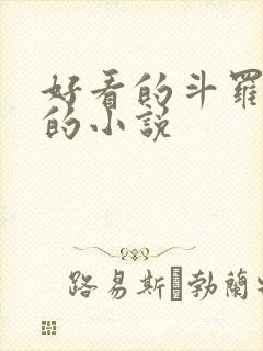 好看的斗罗同人的小说