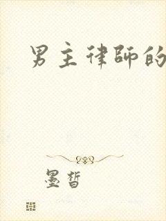 男主律师的小说