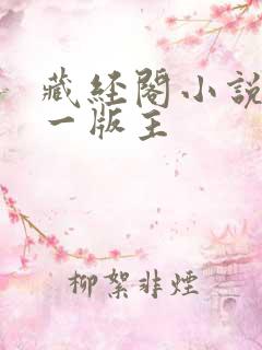 藏经阁小说网第一版主