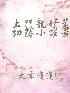 上门龙婿叶辰萧初然小说最新更新