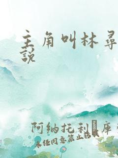 主角叫林寻的小说