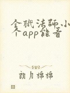 全职法师小说哪个app能看