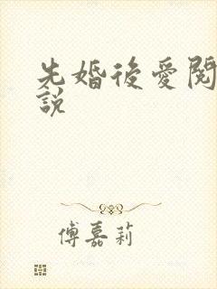 先婚后爱阅读小说