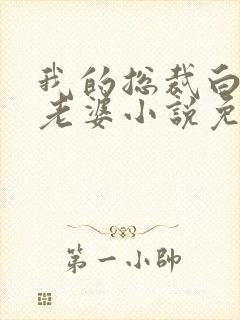 我的总裁白富美老婆小说免费阅读原文