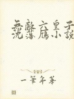无敌六皇子云铮沈落雁小说下载txt