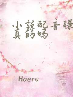 小说配音赚钱是真的吗