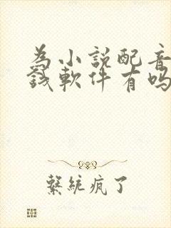 为小说配音的赚钱软件有吗