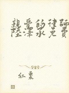 亲爱的律师大人陆泽承免费阅读