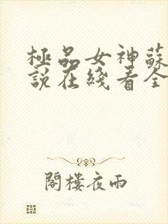 极品女神苏晴小说在线看全文阅读