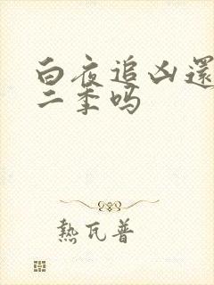 白夜追凶还有第二季吗