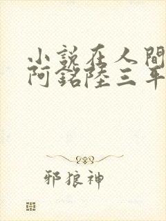 小说在人间采薇阿铭陆三平免费阅读