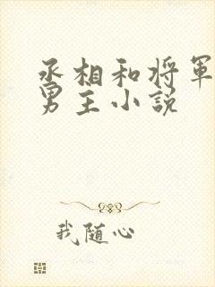 丞相和将军的双男主小说