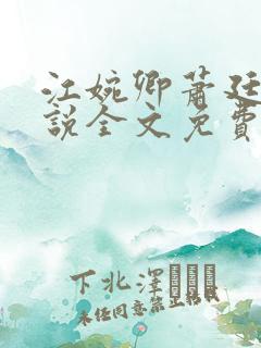 江婉卿萧廷安小说全文免费阅读正版
