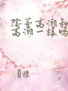 阴蒂高潮和阴道高潮一样吗?