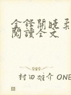 金锋关晓柔免费阅读全文
