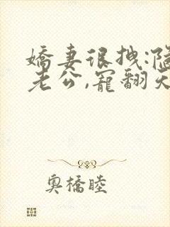 娇妻很拽:隐婚老公,宠翻天